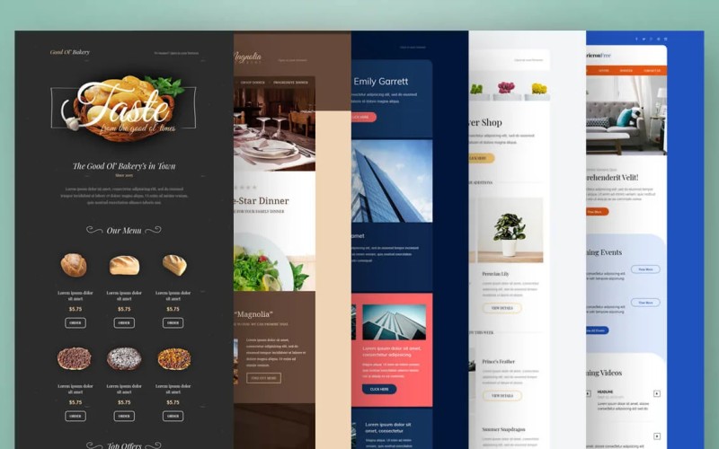 Web Design & UX